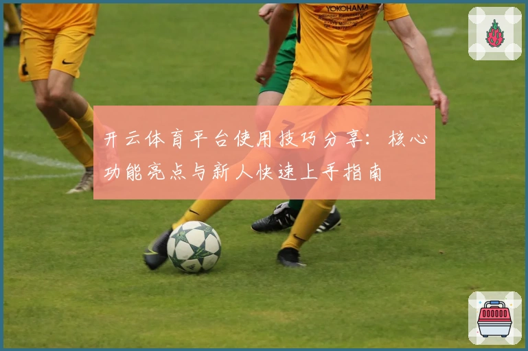 开云体育平台使用技巧分享：核心功能亮点与新人快速上手指南